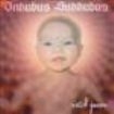 Inkubus Sukkubus - Witch Queen i gruppen Annet /  hos Bengans Skivbutik AB (549339)