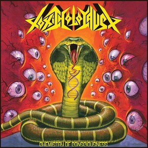 Toxic Holocaust - Chemistry Of Consciousness Mailorde