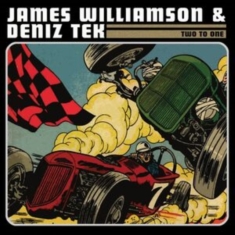 James Williamson Deniz Tek - Two To One