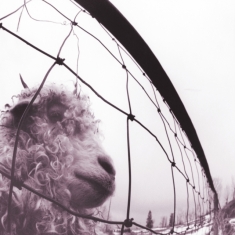 Pearl Jam - Vs. (30Th Anniversary Edition)