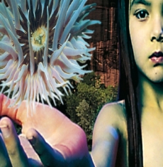 Future Sound Of London - Lifeforms