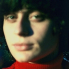Ana Frango Eletrico - Little Electric Chicken Heart