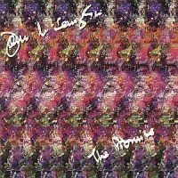 John McLaughlin - Promise i gruppen CD hos Bengans Skivbutik AB (554306)