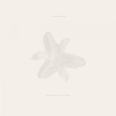 The Dead Tongues - Body Of Light / I Am A Cloud