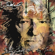 Nelson Willie - Last Leaf On The Tree