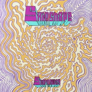 Skinshape - Stornoway / Can You Play Me A Song?