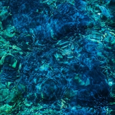 Aoba Ichiko - Luminescent Creatures