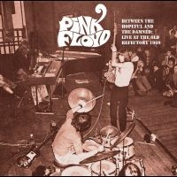 Pink Floyd - Between The Hopeful And The Damned: