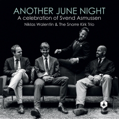Niklas Walentin - Another June Night