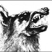 Crippled Black Phoenix - I, Vigilante