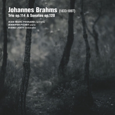 Jean-Marc Fessard & Jennifer Fichet & Diana Ligeti - Brahms: Trio Op. 114 Sonates Op. 120