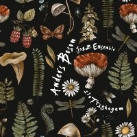 Anders Boson Jazz  Ensemble - Slottsskogen