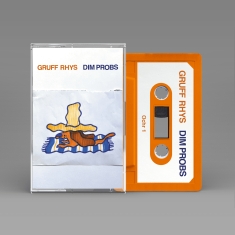 Rhys Gruff - Dim Probs