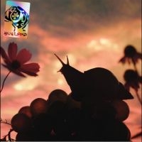 No Joy - Bugland