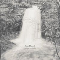 Joseph Decosimo - Fiery Gizzard