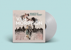 Van Morrison - Split Seams/Vikt Hörn What?S It Gonna Take? (Vinyl)