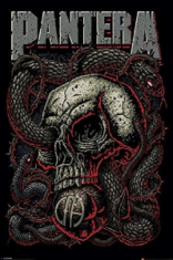 Pantera - Pantera 91,5 X 61 Cm