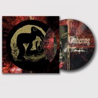 Gathering The - Mandylion (Picture Vinyl Lp)