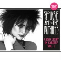 Siouxsie And The Banshees - A Red Light In Cardiff Vol. 1