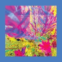 The Reds Pinks And Purples - The Past Is A Garden I Never Fed