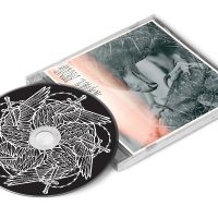 Author & Punisher - Nocturnal Birding