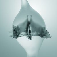 Unprocessed - Angel