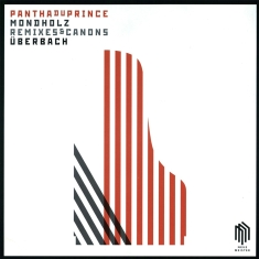 Arash Safaian - Mondholz - Remixes & Canons Über Ba