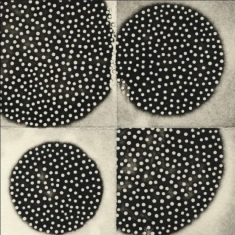 Leimer K. - Resting Forms