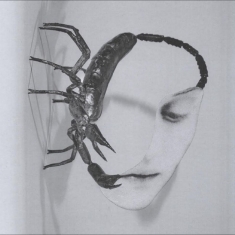 Tortoise - Touch