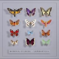 Eulberg Dominik - Lepidoptera