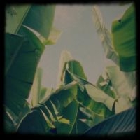Lagoss - Plátano Tapes