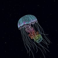 The Drowning World - Passive Margins