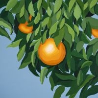 Tyler Ballgame - For The First Time Again (Orange Ma