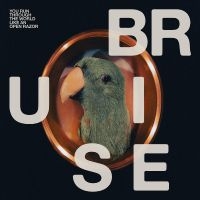 Bruise Blood - You Run Through The World Like An O