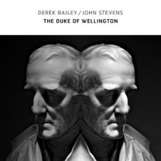 Derek Bailey & John Stevens - The Duke Of Wellington