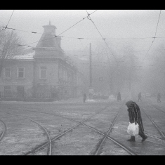 Neselovskyi Vadim - Perseverantia