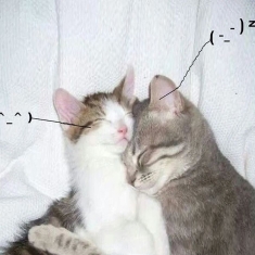 Retail Drugs - I Love You So!