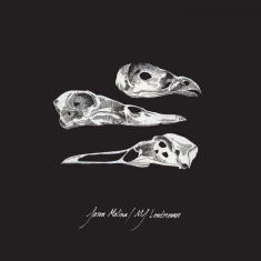 Jason Molina & Mj Lenderman - The Last Three Human Words (Demo) /