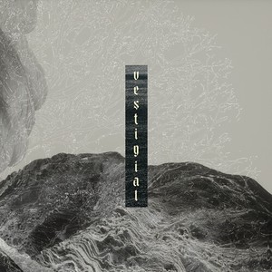 Vestigial - Descending Vastness