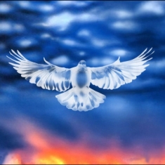 Falty Dl - Mission Barnhus