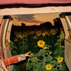 Kevin Morby - Little Wide Open