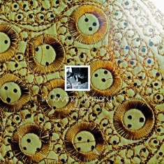 In Loving Memory - A Discography (Limited Edition)