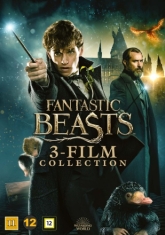 Movie - Fantastic Beasts 3 Film Collection (Dvd)