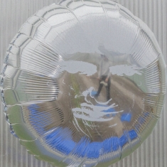 Dari Bay - Surprise Wish