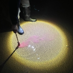 Diles Que No Me Maten - Escrito En Agua (Ltd. Sangre Luz Vi