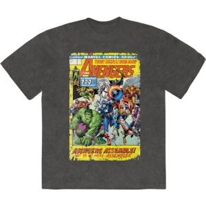 Marvel Comics - Avengers Assemble 700 Stone Wash Uni Char T-Shirt