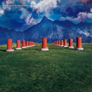 Acid Mothers Temple & The Melting P - In A Not C
