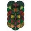 Grateful Dead - Dick's Picks Vol. 24 - Cow Palace D