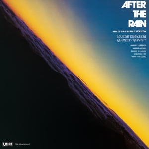 Mabumi Yamaguchi - After The Rain