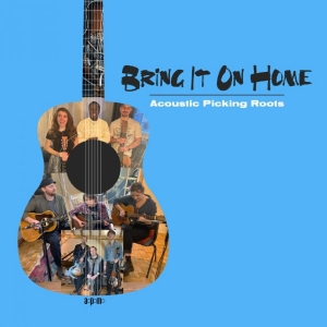 Various Artists - Bring It On Home